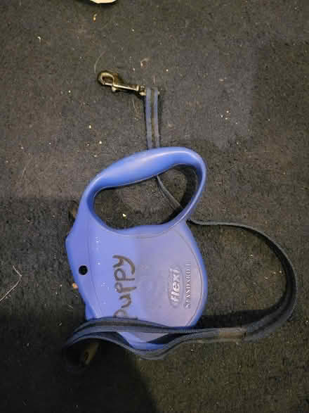 Photo of free Puppy long corded lead (WV11) #1