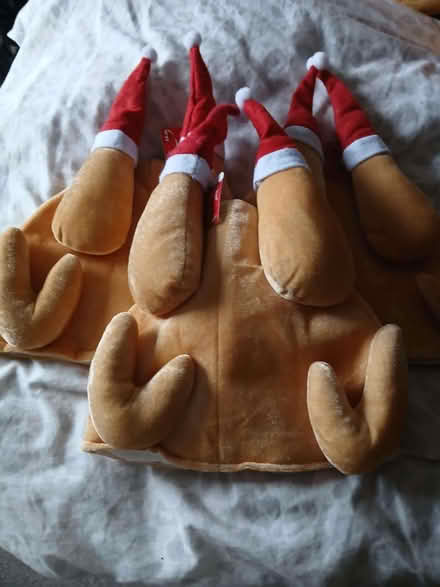 Photo of free Turkey hats (Little Chester DE1) #1