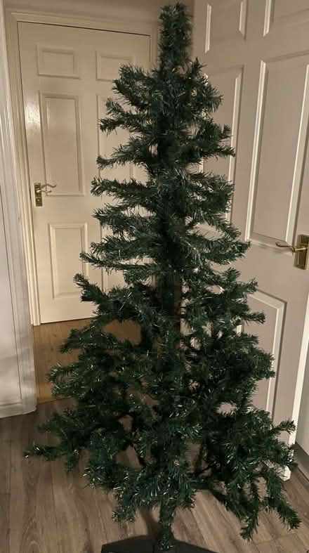 Photo of free Christmas Tree (Monkston MK10) #1