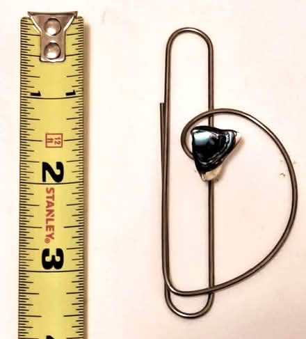 Photo of free misc: Dumbledore card; necklace etc (Davis/Teele Square area) #3