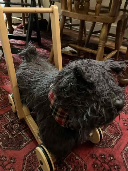 Photo of free Baby walker (Whitecross) #1