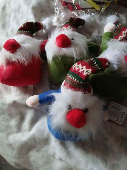 Photo of free Small gonks (Little Chester DE1) #1
