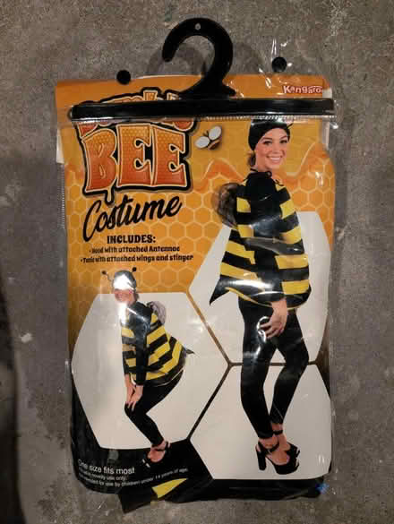 Photo of free Bee costume - adult (Downtown Oak Park) #1