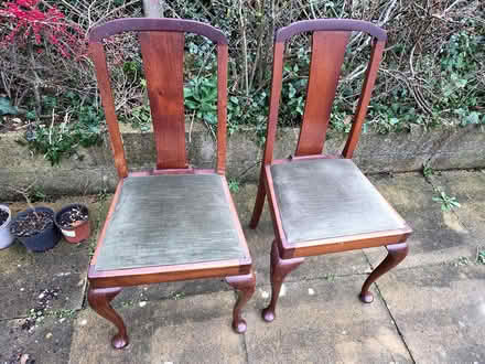 Photo of free 2 green dining chairs (Stroud) #1