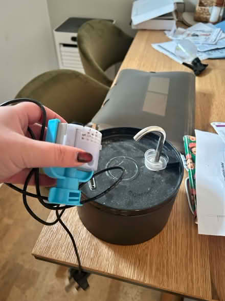 Photo of free Cat water fountain (Park street st albans AL2) #2