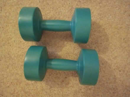 Photo of free 2 x 3kg dumbbells (Elvaston Meadows DE72) #1