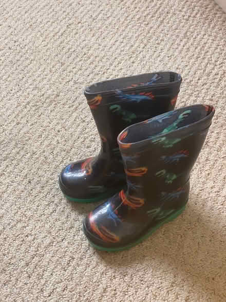 Photo of free Wellies (SE20) #1