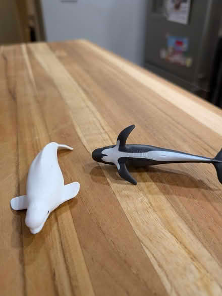 Photo of free "Office Potpourri for 500, Alex" (Broadview) #2