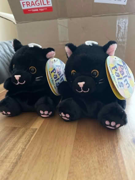 Photo of free 2 x stocking filler toy cats (Muswell Hill N10) #1