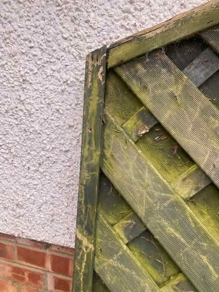 Photo of free Large lattice fence panel (Shoreham- by-Sea) #4