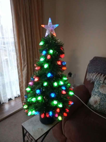 Photo of free 3ft Christmas Tree (Pipers Ash CH2) #1