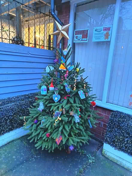 Photo of free Christmas tree (Kingsley Park) #1