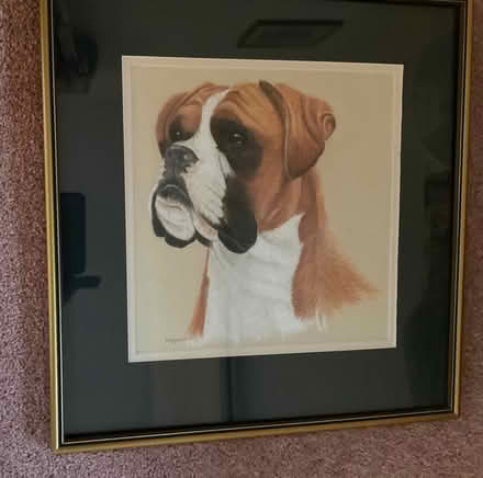 Photo of free Dog painting down with pastels (New Brighton CH45) #1