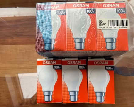 Photo of free Old technology light bulbs (The Highlands TN39) #1