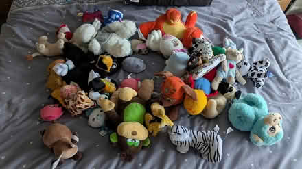 Photo of free Selection of small soft toys (Bishop Auckland DL14) #1