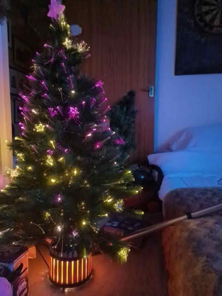 Photo of free Colour changing fibre optic tree (Starcross EX6) #2