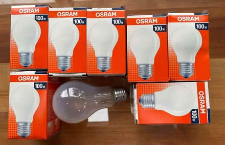 Photo of free Old technology E27 light bulbs (The Highlands TN39) #1