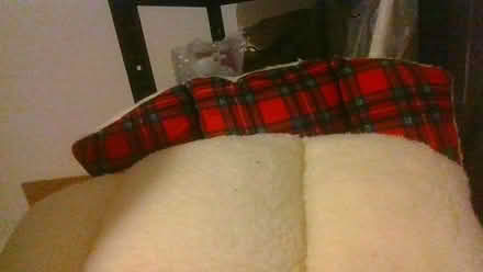 Photo of free 2 x lumber back cushions (Bath BA2) #3