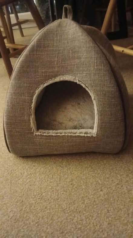 Photo of free Cosy cat bed (Kennington OX1) #1