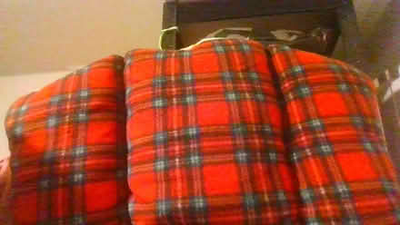 Photo of free 2 x lumber back cushions (Bath BA2) #1