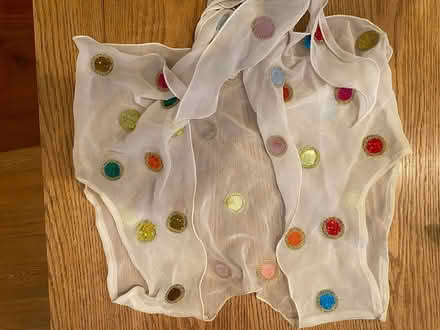 Photo of free Bollywood Dance Outfit (East Richmond Heights) #3