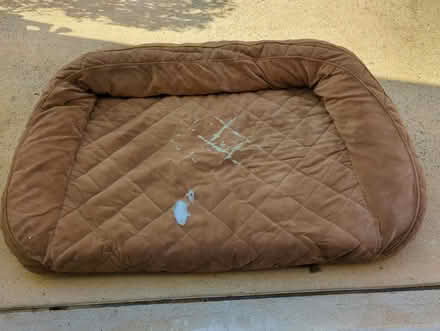 Photo of free Dog Bed (Cary) #1