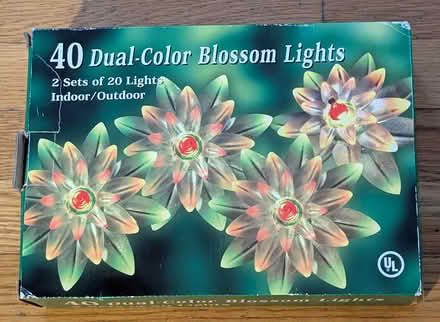 Photo of free 40 indoor-outdoor blossom lights (North Cambridge) #1