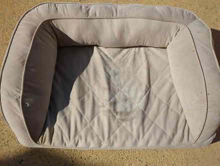 Photo of free Dog Bed Gray no. 2 (Cary) #2