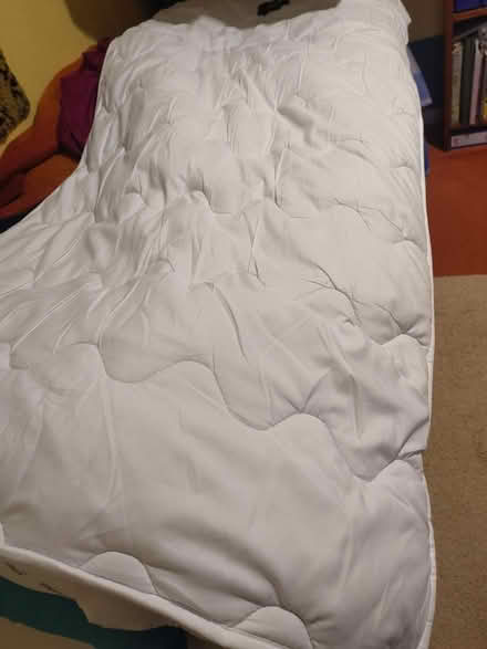 Photo of free Single mattress topper (Oakdale, Poole BH15) #2
