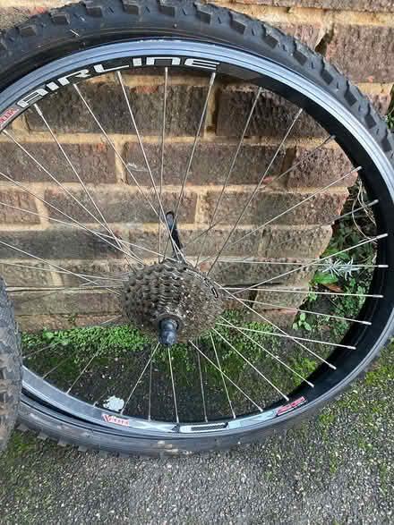 Photo of free Mountain bike wheels (Rusthall) #1