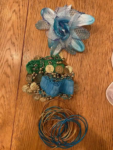 Photo of free Bollywood Dance Outfit (East Richmond Heights) #4