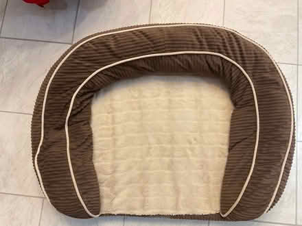 Photo of free Dog bed (Waverton CH3) #3