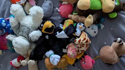Photo of free Selection of small soft toys (Bishop Auckland DL14) #2