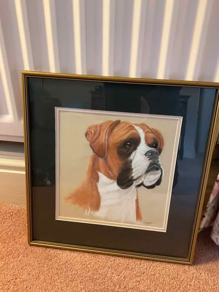 Photo of free Dog painting down with pastels (New Brighton CH45) #2