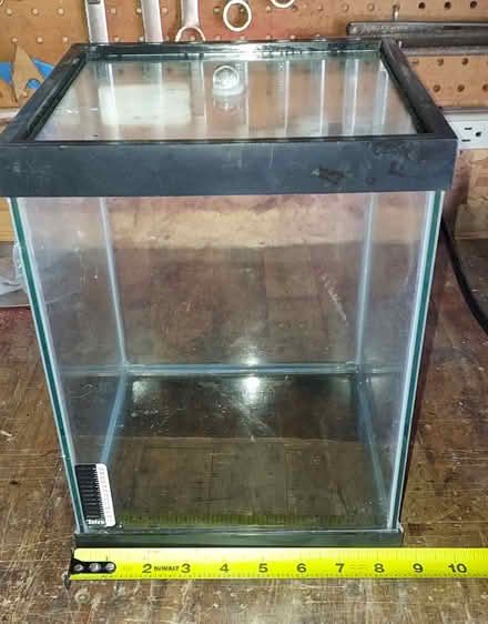 Photo of free Aquarium (Down town brighton) #1