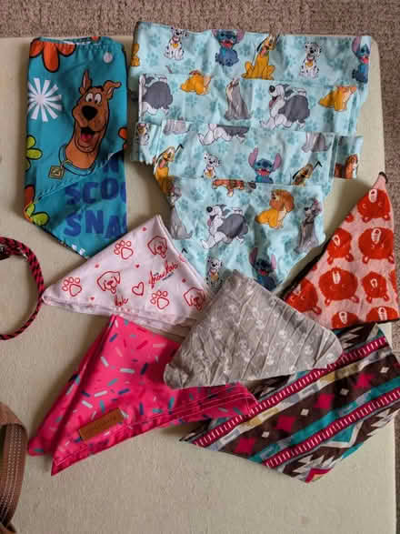 Photo of free New or nearly new dog items (Greenwood Village) #3