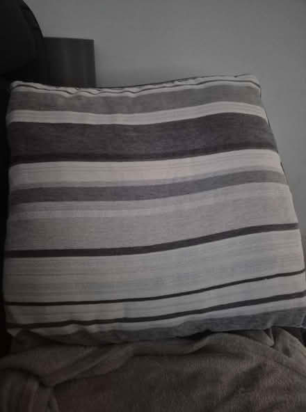 Photo of free Grey and white cushions (Buttershaw BD6) #1