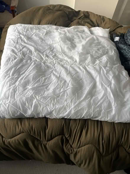 Photo of free Double duvet (Lee, Eltham SE12) #1