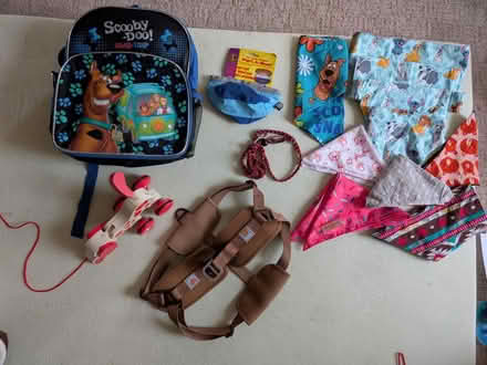 Photo of free New or nearly new dog items (Greenwood Village) #1