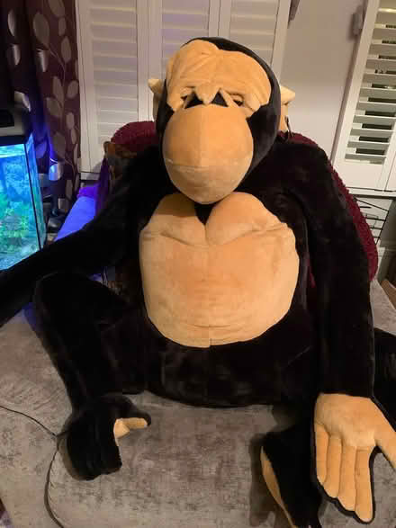 Photo of free Big Ape (Charlton) #1