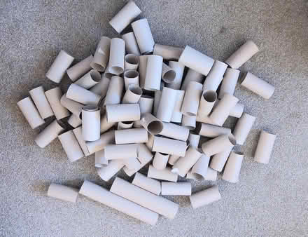 Photo of free Cardboard tubes - crafts/ seedlings (Newton Abbot TQ12) #2