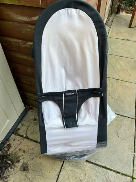 Photo of free Baby Bjorn bouncer (Uxbridge UB8) #1