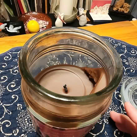Photo of free Cinnamon stick scented candle (New Milford, NJ) #2