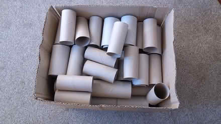 Photo of free Cardboard tubes - crafts/ seedlings (Newton Abbot TQ12) #1