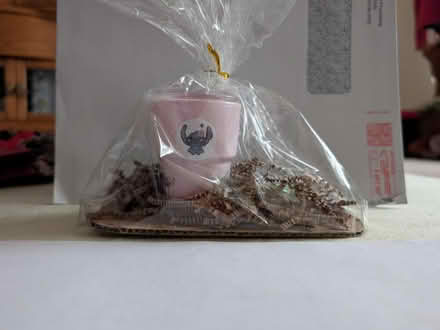 Photo of free Tiny tumbler w/ straw, tiny turtle (Greenwood Village) #1