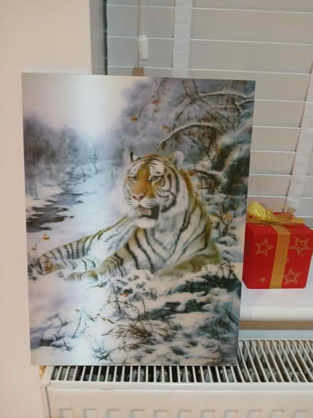 Photo of free 3D Tiger Picture (Dunstable LU6) #1