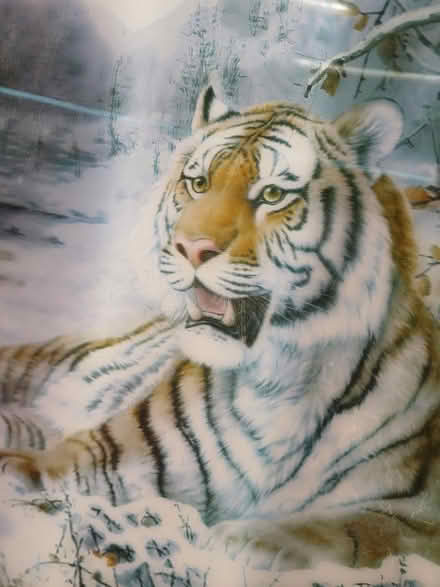 Photo of free 3D Tiger Picture (Dunstable LU6) #2