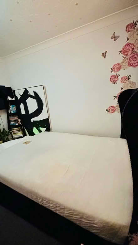 Photo of free Black velvet bedframe only (Wimbledon SW19) #3