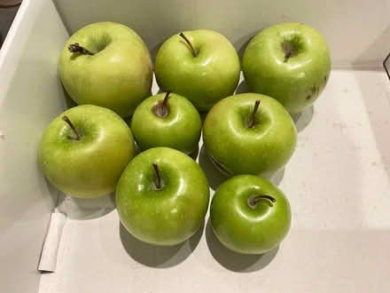 Photo of free Granny Smith apples for Apple Pie (217 Southern Heights Blvd SR) #1