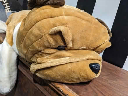 Photo of free Large bull dog stuffed animal (Abington) #2